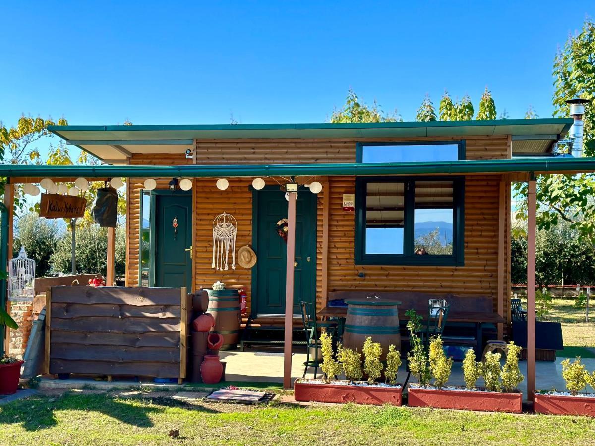 Avra Wooden House Apartment Drama